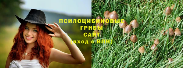 ешки Алексеевка