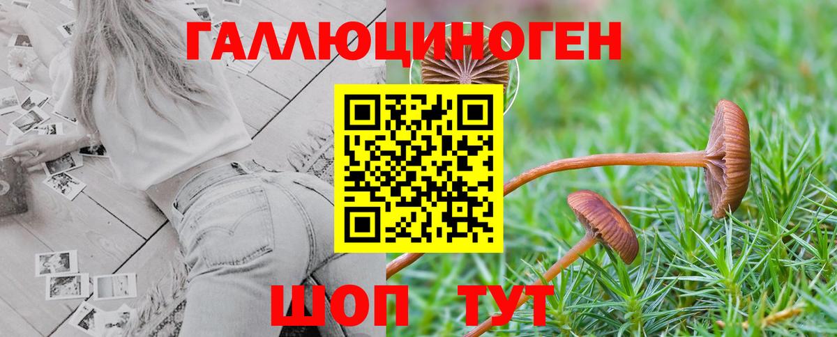 Псилоцибиновые грибы мицелий Волоколамск
