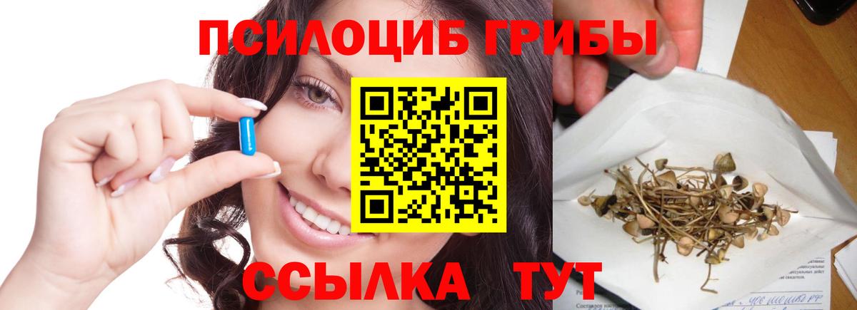 Галлюциногенные грибы ЛСД  Псилоцибиновые грибы мицелий  Волоколамск  Вход с VPN 